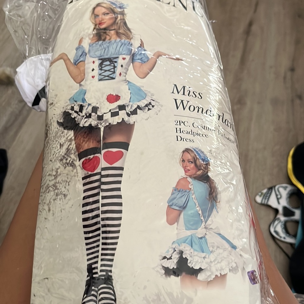 Alice in Wonderland Costume